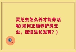 灵芝虫怎么养才能养活呢(如何正确养护灵芝虫，保证生长发育？)