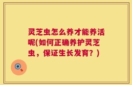 灵芝虫怎么养才能养活呢(如何正确养护灵芝虫，保证生长发育？)