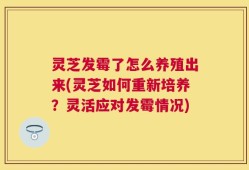 灵芝发霉了怎么养殖出来(灵芝如何重新培养？灵活应对发霉情况)