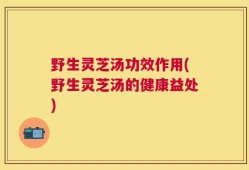 野生灵芝汤功效作用(野生灵芝汤的健康益处)