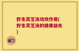 野生灵芝汤功效作用(野生灵芝汤的健康益处)