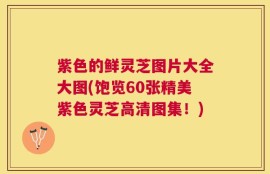紫色的鲜灵芝图片大全大图(饱览60张精美紫色灵芝高清图集！)