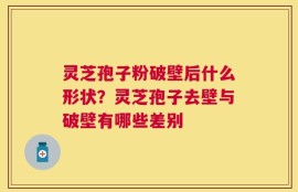 灵芝孢子粉破壁后什么形状？灵芝孢子去壁与破壁有哪些差别