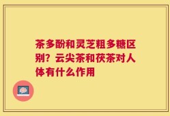 茶多酚和灵芝粗多糖区别？云尖茶和茯茶对人体有什么作用
