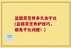 盆栽灵芝养多久会干化(盆栽灵芝养护技巧，避免干化问题！)