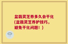 盆栽灵芝养多久会干化(盆栽灵芝养护技巧，避免干化问题！)