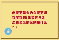 赤灵芝是金边白灵芝吗百度百科(赤灵芝与金边白灵芝的区别是什么？)