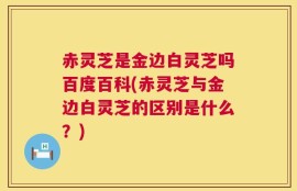 赤灵芝是金边白灵芝吗百度百科(赤灵芝与金边白灵芝的区别是什么？)
