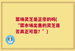 菜场灵芝是正宗的吗(“菜市场出售的灵芝是否真正可靠？”)