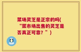 菜场灵芝是正宗的吗(“菜市场出售的灵芝是否真正可靠？”)