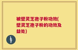 被壁灵芝孢子粉功效(壁灵芝孢子粉的功效及益处)