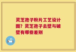 灵芝孢子粉片工艺设计图？灵芝孢子去壁与破壁有哪些差别