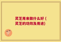灵芝用来做什么好 (灵芝的功效及用途)