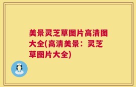 美景灵芝草图片高清图大全(高清美景：灵芝草图片大全)