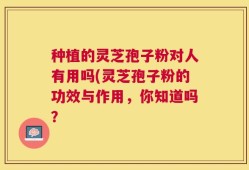 种植的灵芝孢子粉对人有用吗(灵芝孢子粉的功效与作用，你知道吗？