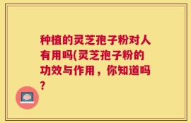 种植的灵芝孢子粉对人有用吗(灵芝孢子粉的功效与作用，你知道吗？