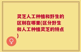 灵芝人工种植和野生的区别在哪里(区分野生和人工种植灵芝的特点)