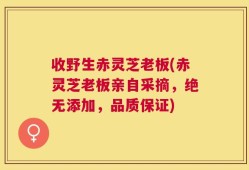 收野生赤灵芝老板(赤灵芝老板亲自采摘，绝无添加，品质保证)
