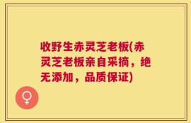 收野生赤灵芝老板(赤灵芝老板亲自采摘，绝无添加，品质保证)