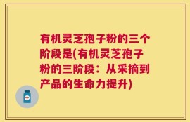 有机灵芝孢子粉的三个阶段是(有机灵芝孢子粉的三阶段：从采摘到产品的生命力提升)