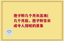 孢子粉几个月长出来(几个月后，孢子粉生长成令人惊叹的景象