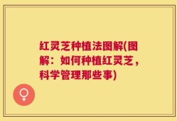 红灵芝种植法图解(图解：如何种植红灵芝，科学管理那些事)