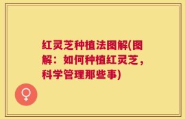 红灵芝种植法图解(图解：如何种植红灵芝，科学管理那些事)
