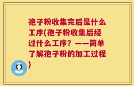 孢子粉收集完后是什么工序(孢子粉收集后经过什么工序？——简单了解孢子粉的加工过程)