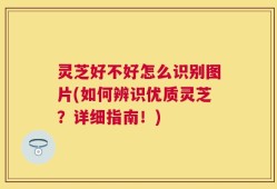 灵芝好不好怎么识别图片(如何辨识优质灵芝？详细指南！)