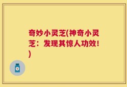 奇妙小灵芝(神奇小灵芝：发现其惊人功效！)