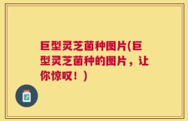 巨型灵芝菌种图片(巨型灵芝菌种的图片，让你惊叹！)