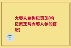 大枣人参枸杞灵芝(枸杞灵芝与大枣人参的搭配)