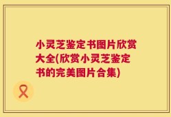 小灵芝鉴定书图片欣赏大全(欣赏小灵芝鉴定书的完美图片合集)
