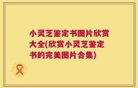小灵芝鉴定书图片欣赏大全(欣赏小灵芝鉴定书的完美图片合集)