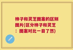 柿子和灵芝图案的区别图片(区分柿子和灵芝：图案对比一目了然)