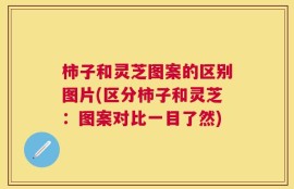 柿子和灵芝图案的区别图片(区分柿子和灵芝：图案对比一目了然)