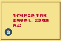 毛竹林种灵芝(毛竹林走向多样化，灵芝成新亮点)