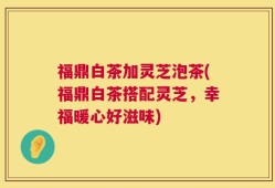 福鼎白茶加灵芝泡茶(福鼎白茶搭配灵芝，幸福暖心好滋味)