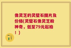 像灵芝的灵璧石图片及价格(灵璧石像灵芝般神奇，低至79元起拍！)