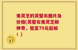 像灵芝的灵璧石图片及价格(灵璧石像灵芝般神奇，低至79元起拍！)