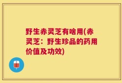 野生赤灵芝有啥用(赤灵芝：野生珍品的药用价值及功效)