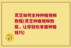 灵芝如何主持种植视频教程(灵芝种植视频教程，让你轻松掌握种植技巧)