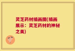 灵芝药材插画图(插画展示：灵芝药材的神秘之美)