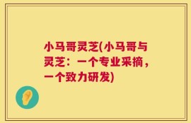 小马哥灵芝(小马哥与灵芝：一个专业采摘，一个致力研发)