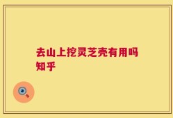 去山上挖灵芝壳有用吗知乎