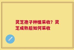 灵芝孢子种植采收？灵芝成熟后如何采收