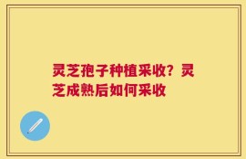灵芝孢子种植采收？灵芝成熟后如何采收
