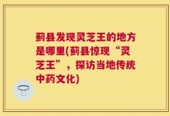 蓟县发现灵芝王的地方是哪里(蓟县惊现“灵芝王”，探访当地传统中药文化)