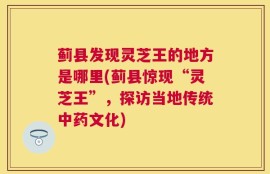 蓟县发现灵芝王的地方是哪里(蓟县惊现“灵芝王”，探访当地传统中药文化)
