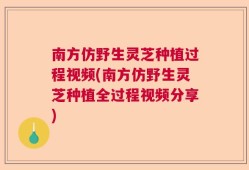 南方仿野生灵芝种植过程视频(南方仿野生灵芝种植全过程视频分享)